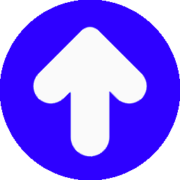 back